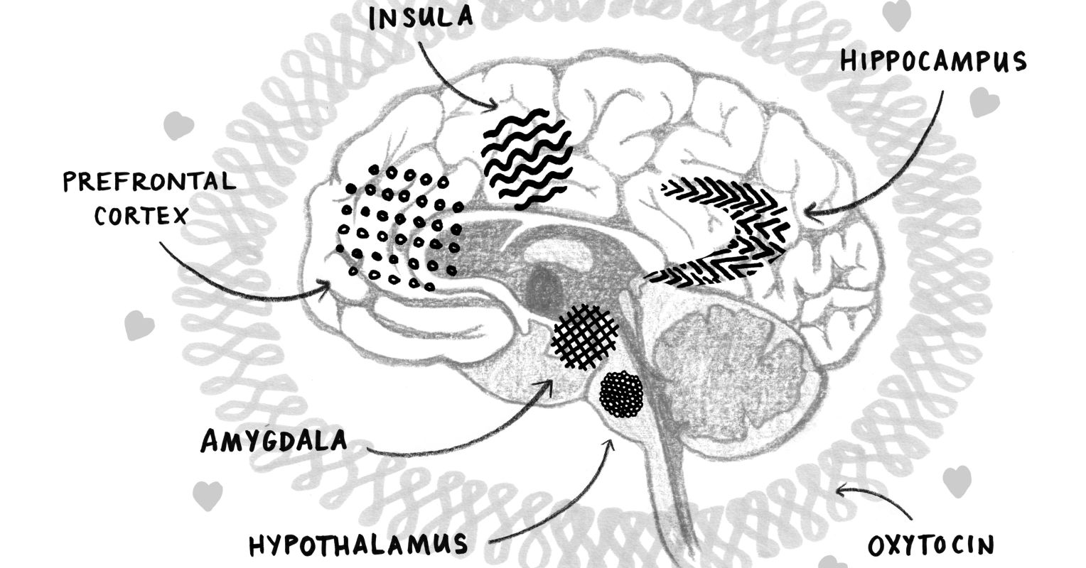 Nurture Changes a Parent's Brain Psychology Today