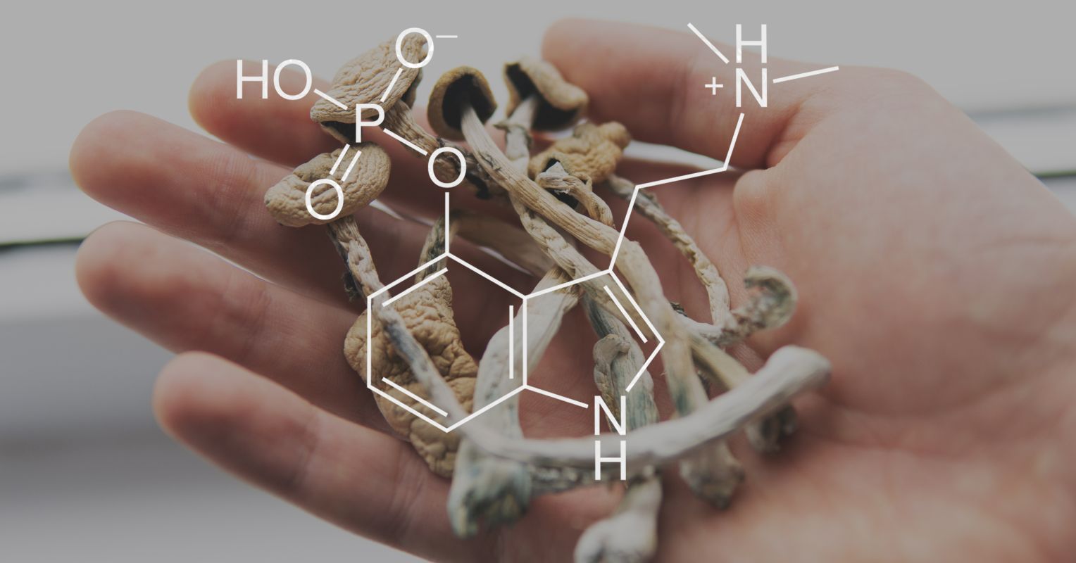 They broke my mental shackles': could magic mushrooms be the answer to  depression?, Drugs