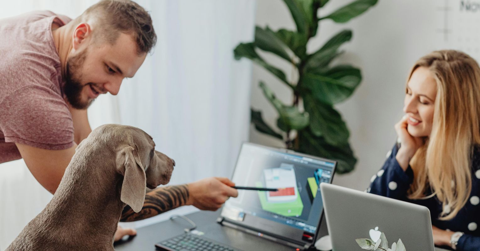 Not Smart Dogs Is Your Dog Generally Smart, or Not So Bright? | Psychology Today Singapore