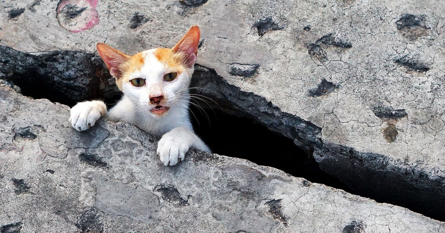 Stuck Solving a Problem? 3 Steps to Get Unstuck Psychology Today