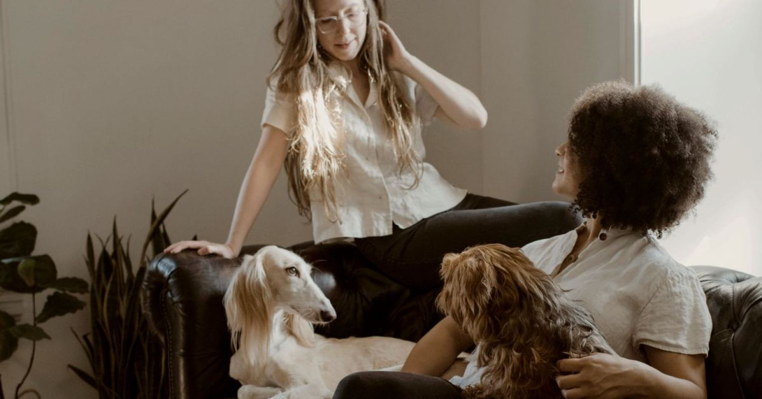 5 Ways That New Relationships Can Take Form