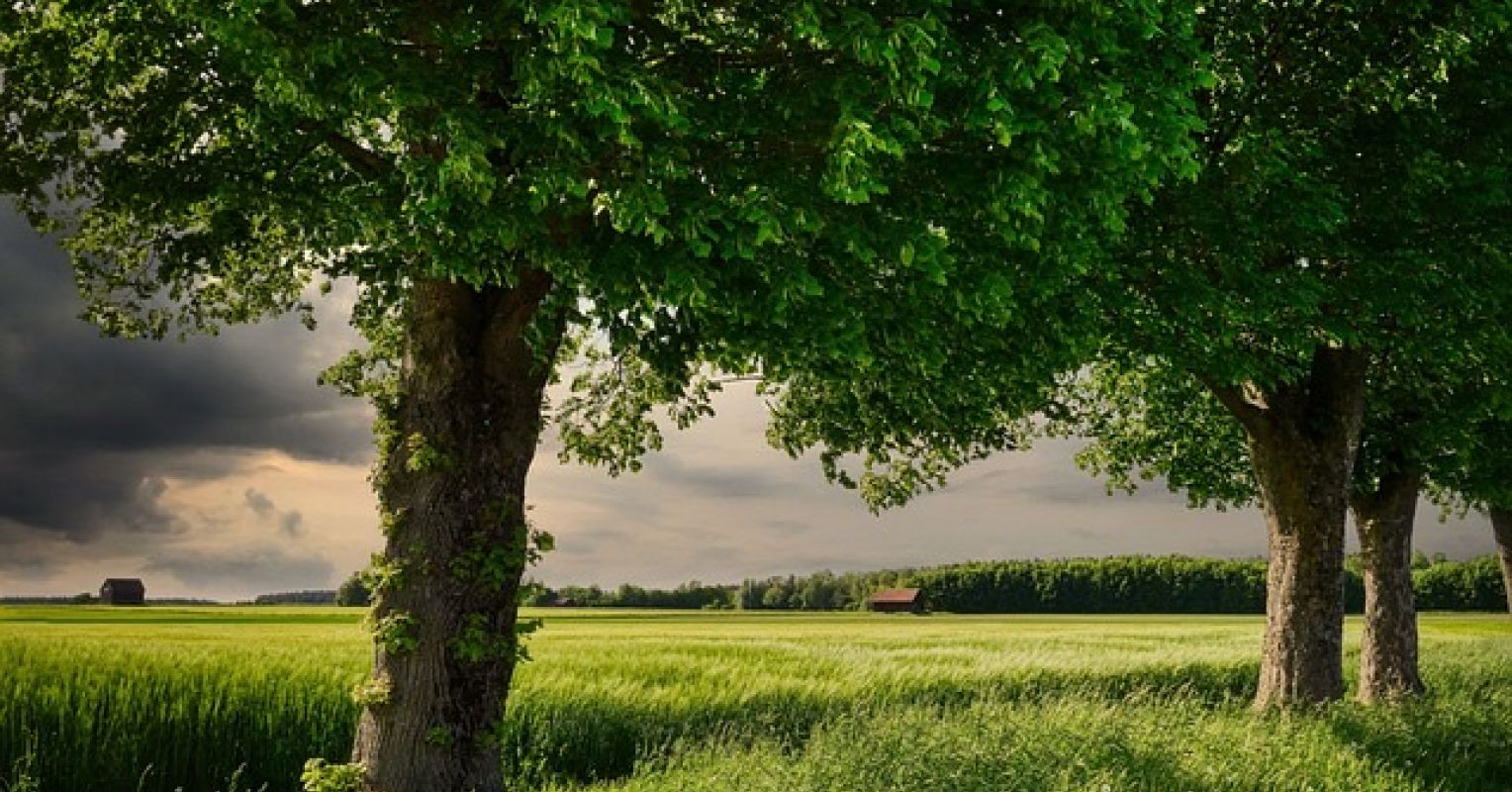 Going Green Is Good for You | Psychology Today Canada