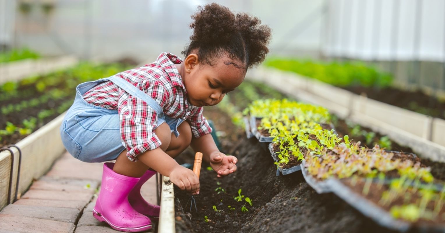 The Surprising Ways Soil Can Aid Our Mental Health Psychology Today