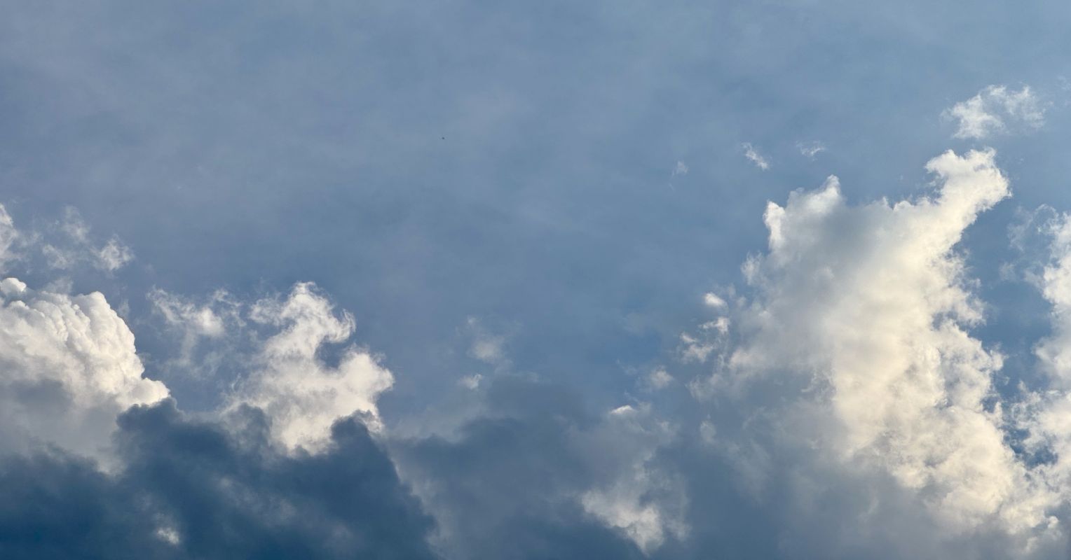 What Makes the World: Mind or Brain?