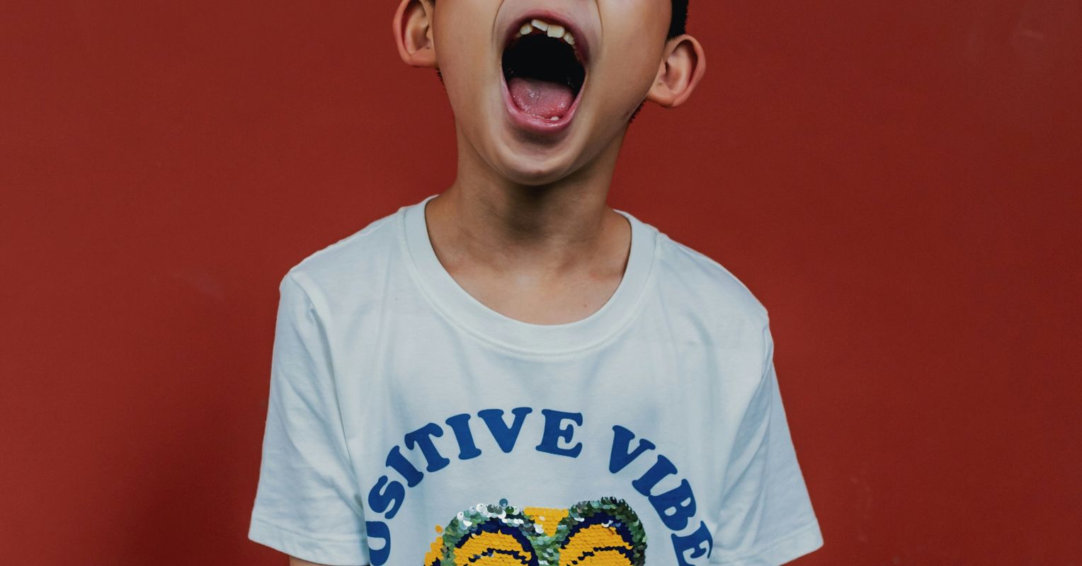 Stop the Meltdown: The Key to Your Child's Emotional Control ...