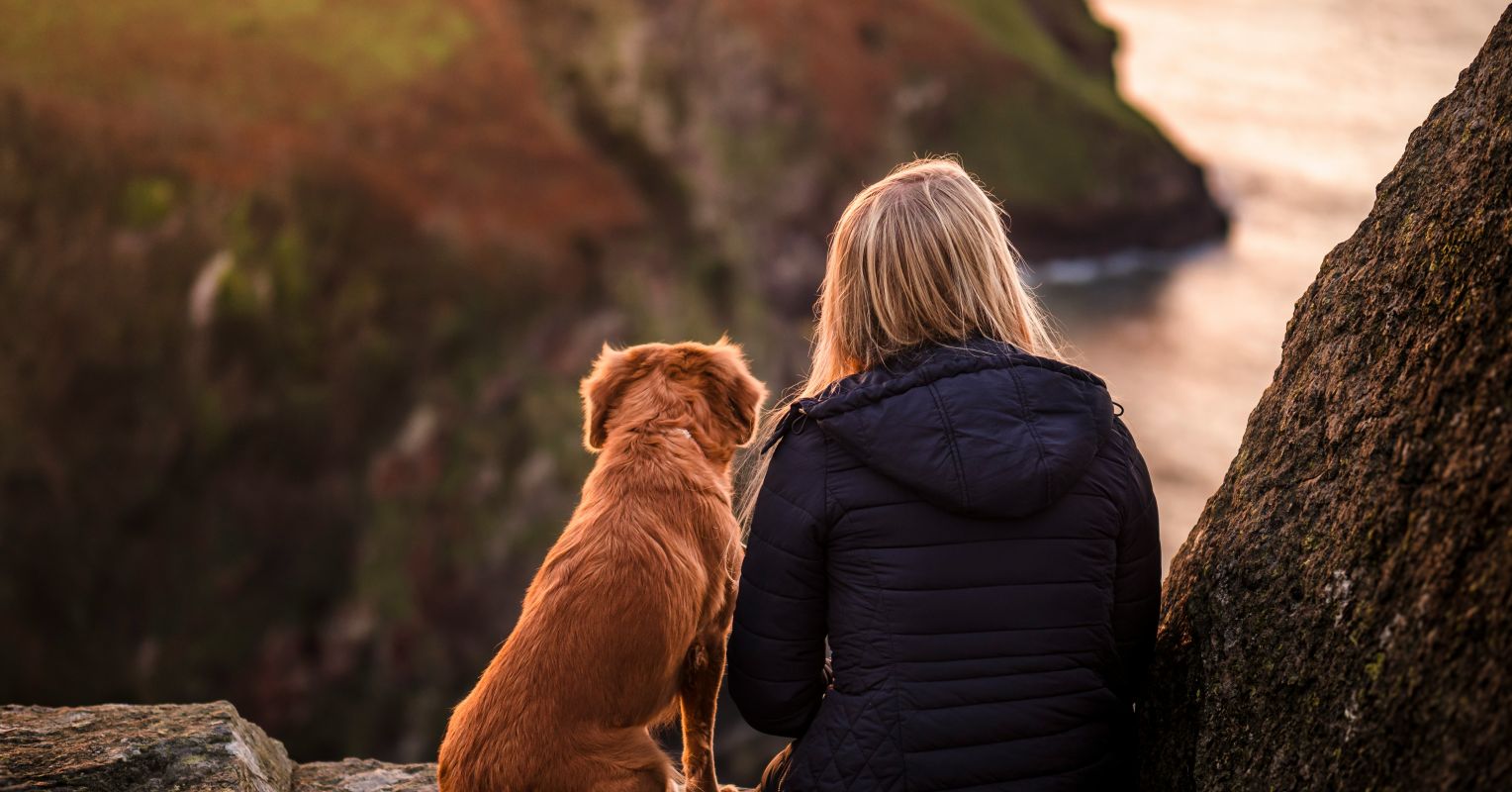 Canine Bliss: Creating Moments That Matter for Our Dogs