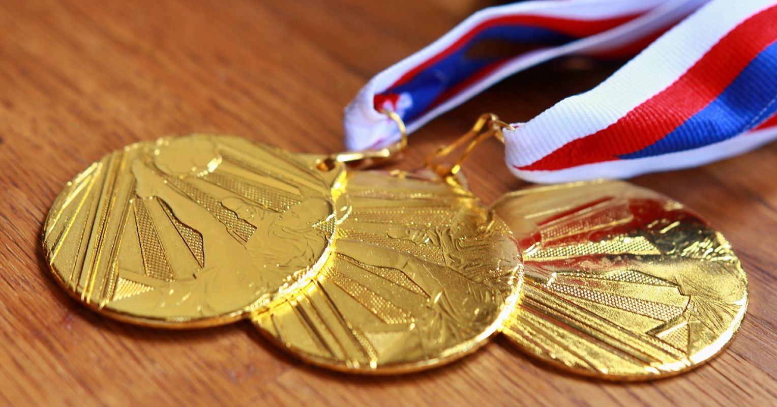 The Social Neurobiology of Excellence