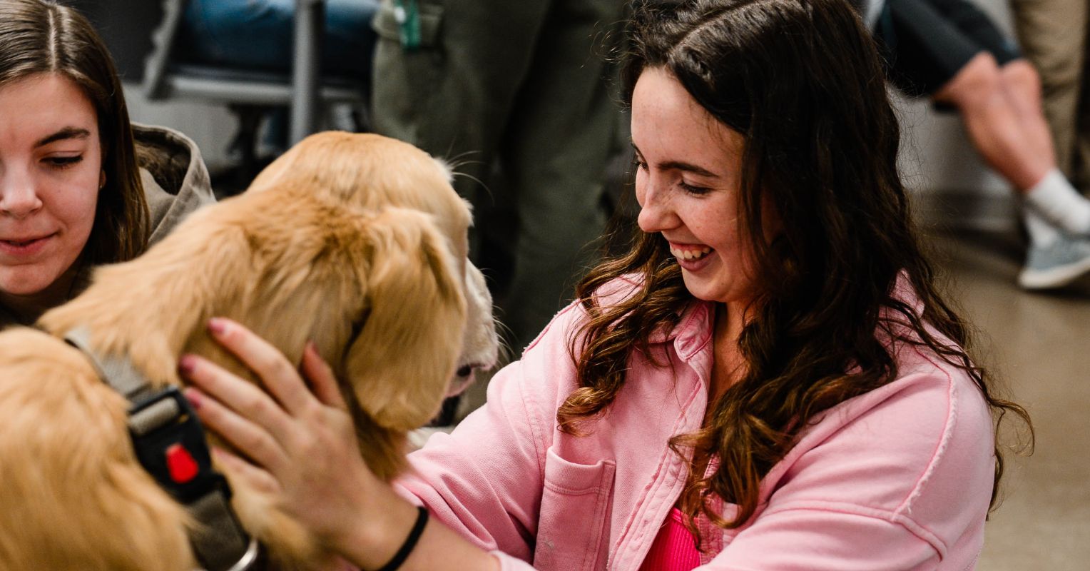 Sharing Your Life With a Dog: 5 Benefits