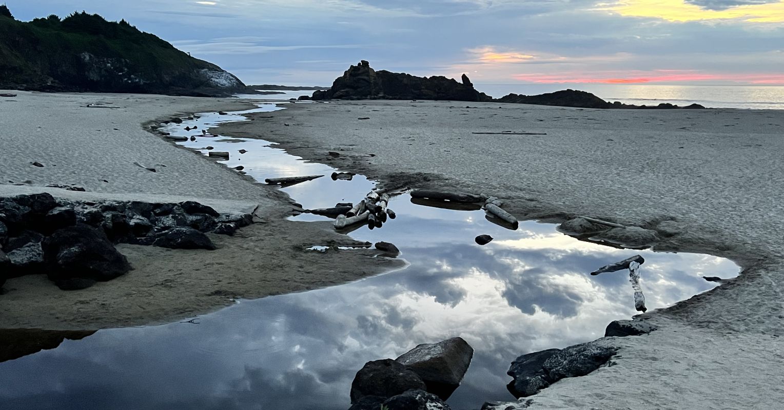 Ecotherapy: Expanding the Lens of Psychotherapy