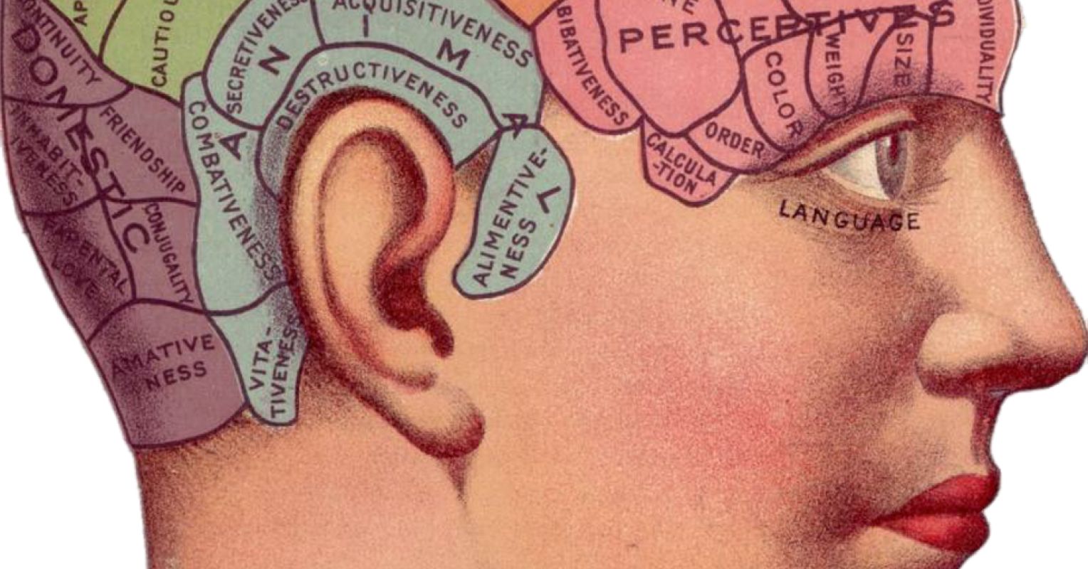 Why We Still Need Categories in Personality Diagnosis