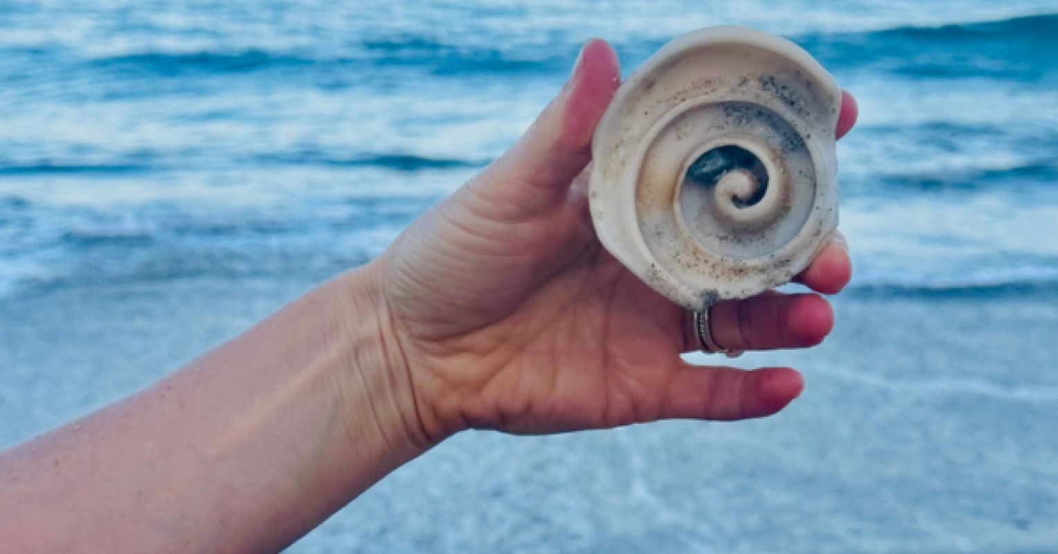 The Science and Practice of Real Transformation