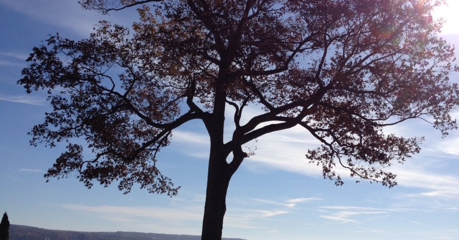 Fostering Hope Is Essential to Address Climate Change