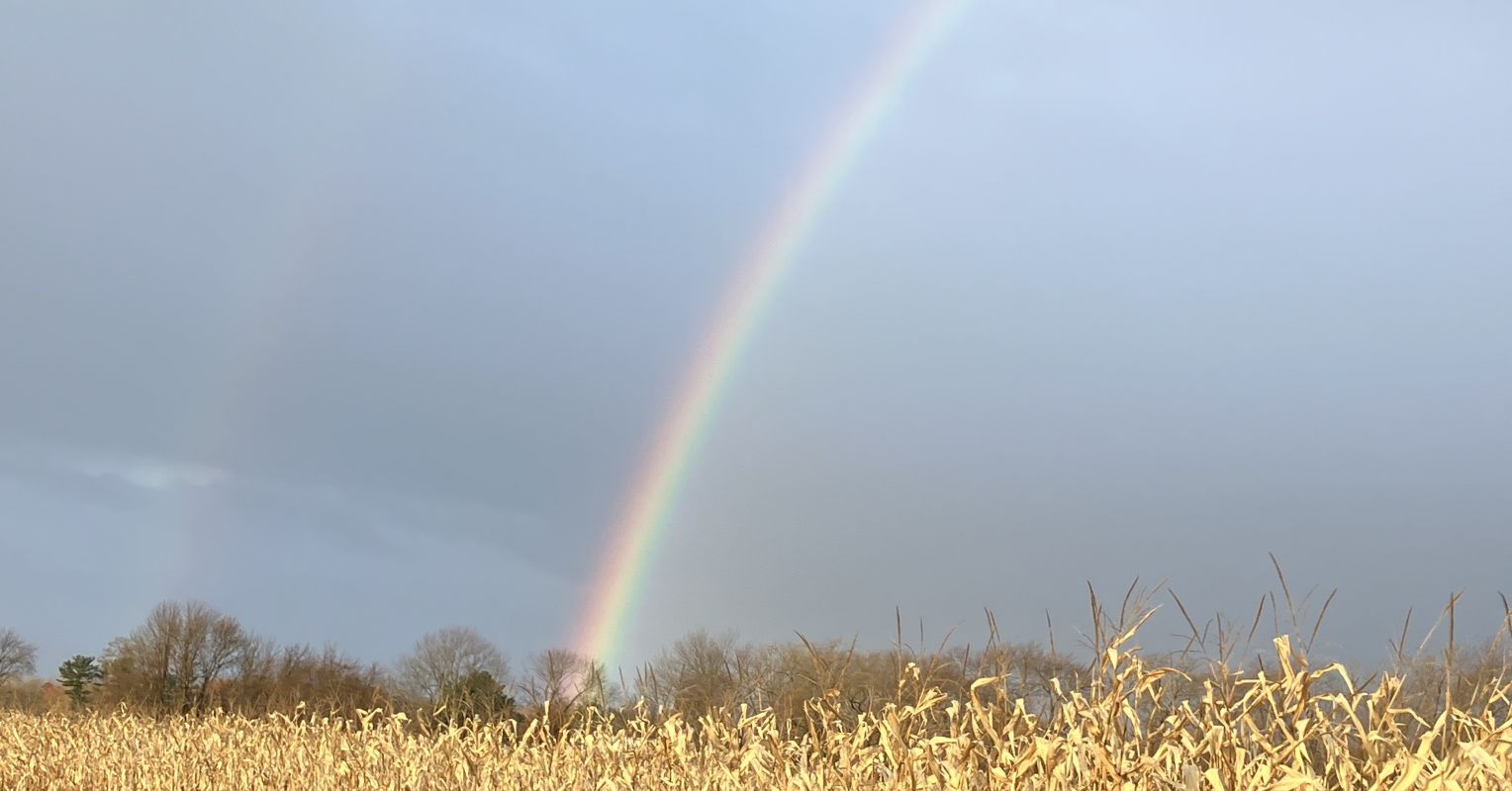 Flex and Innovate, Live and Learn