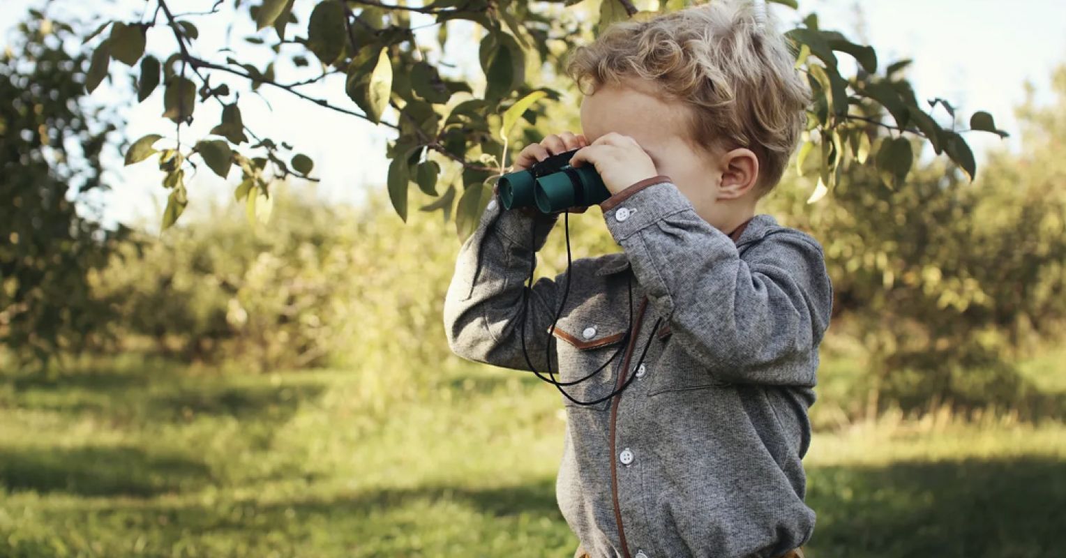 Wired to Watch: We Learn When We Observe