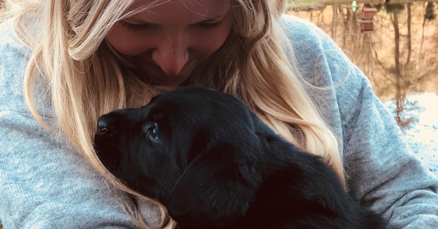 The Healing That Happens Beside a Dog