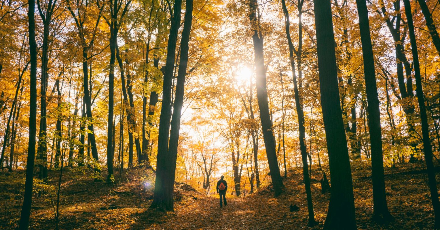 Walk-and-Talk Ecotherapy Sessions Could Change Your Practice