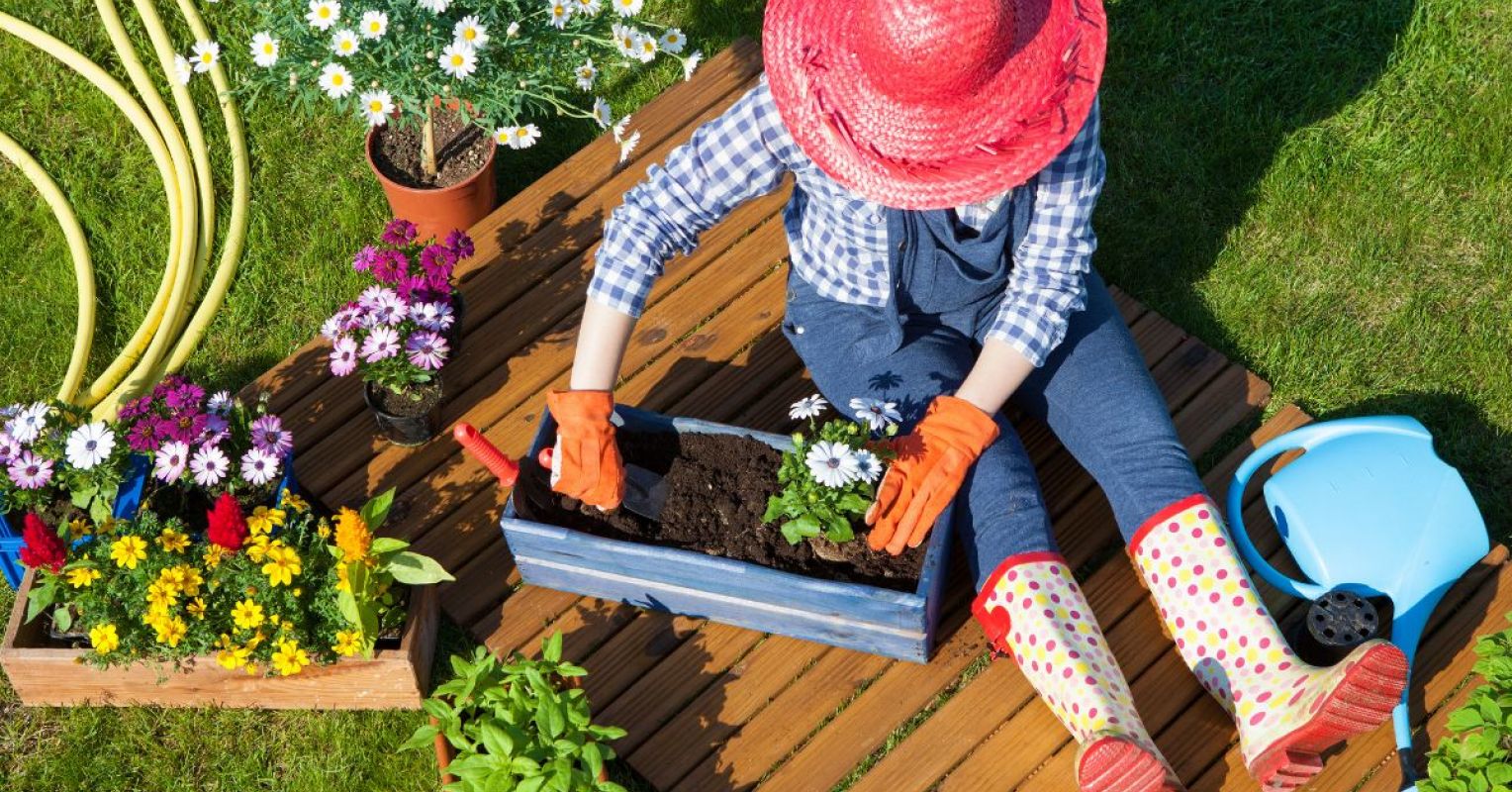 Anxiety, Depression, and the Power of Dirt