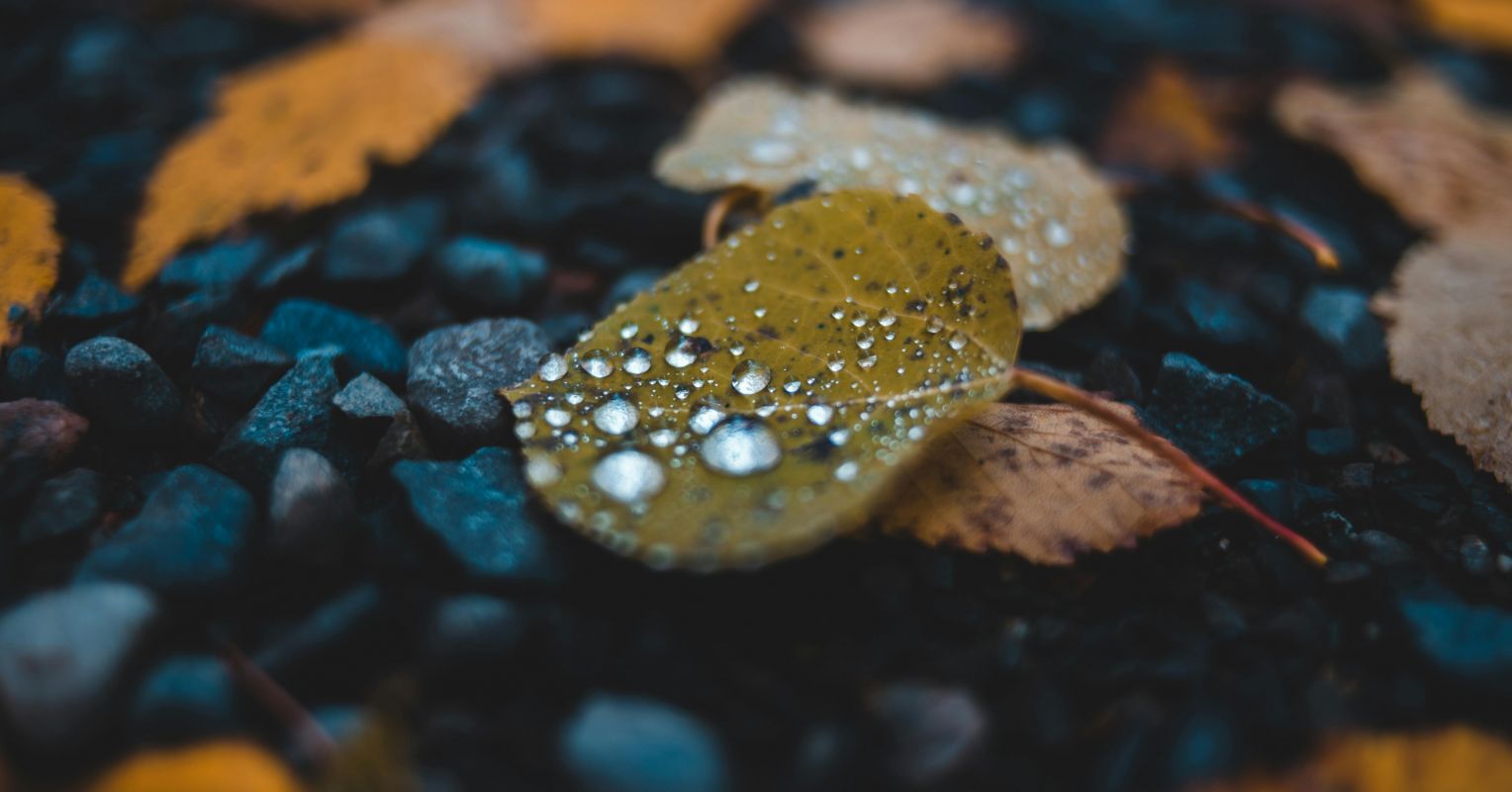 Depression Says You Are Worthless