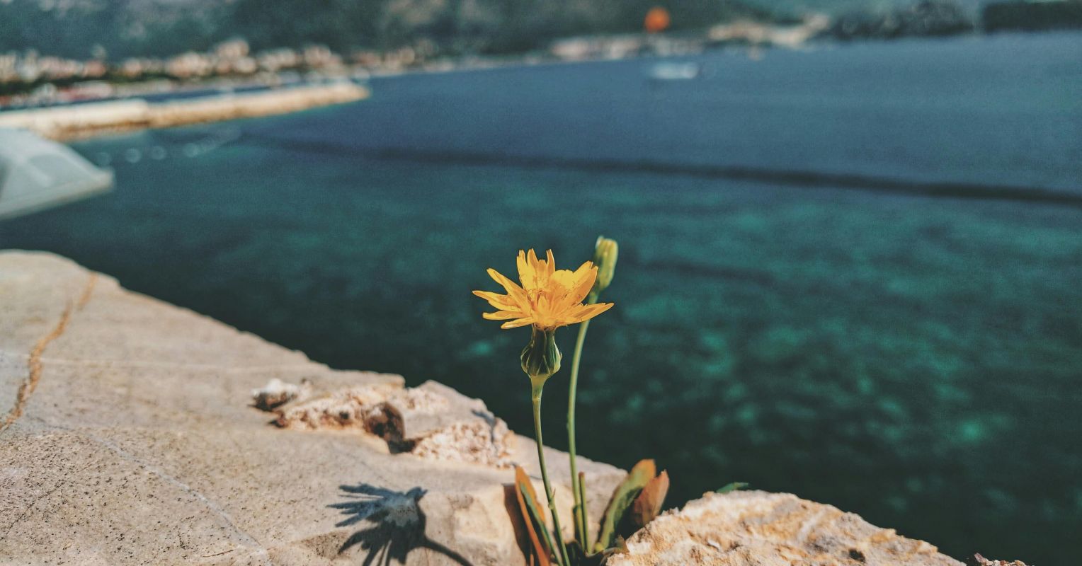 Eliminating Mental Health Stigma at Work