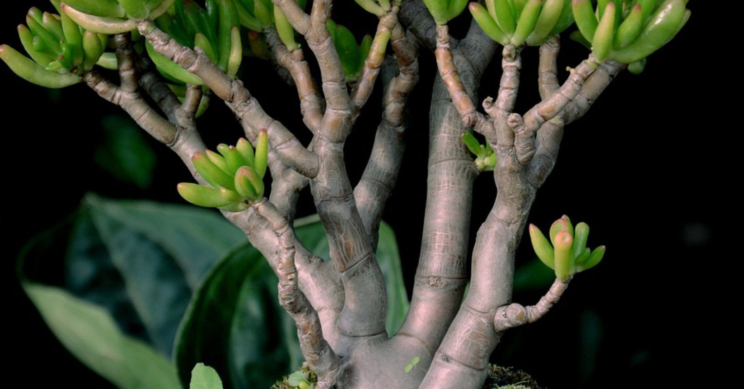 Are You Feeling Unappreciated?