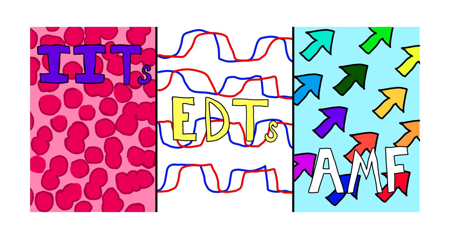Comparing Different Ideas About Affect