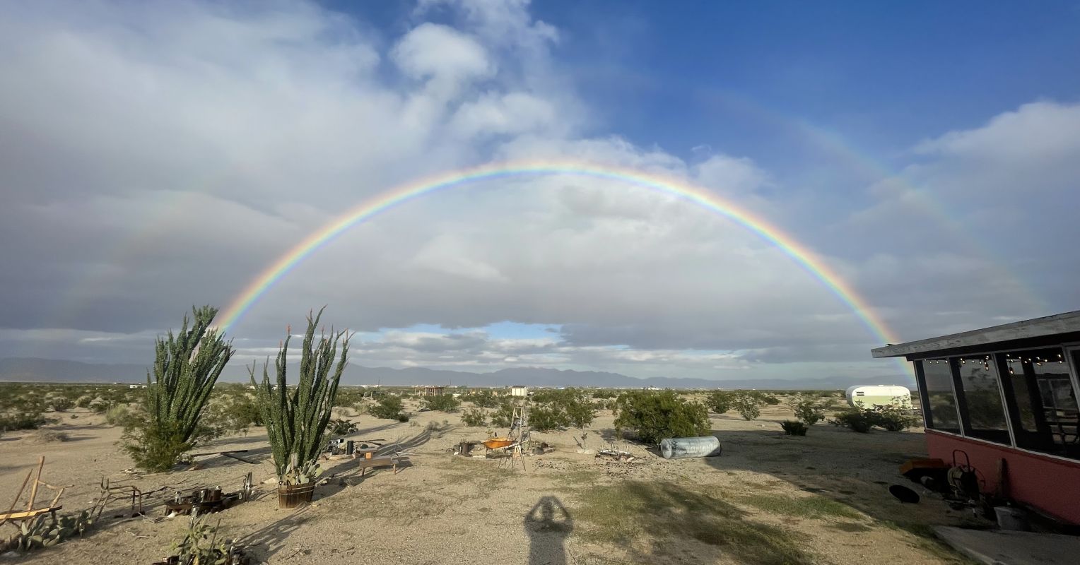 I've Survived Breast Cancer for a Decade: Now What?