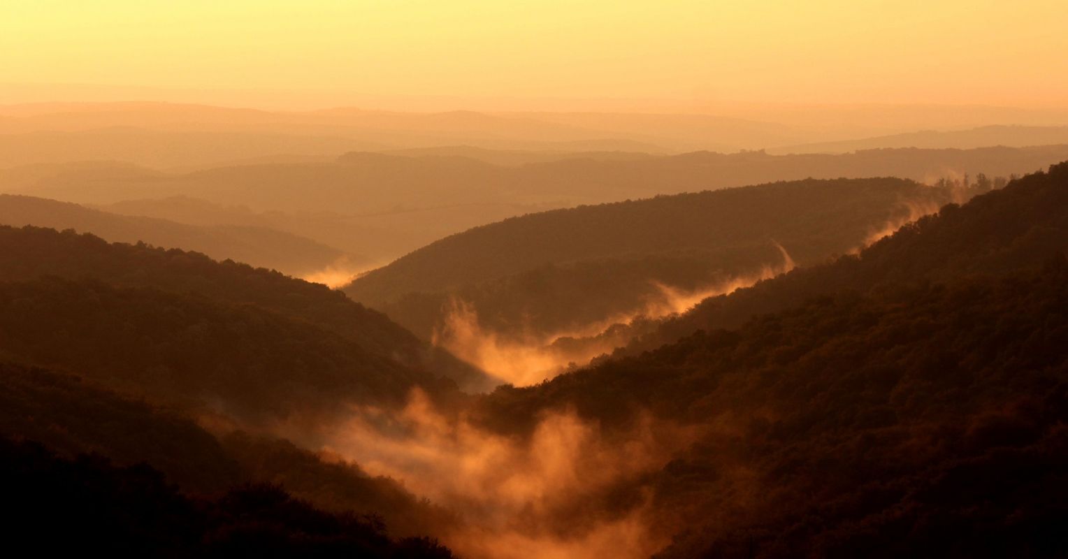 Why Computers Could Never Experience Beauty