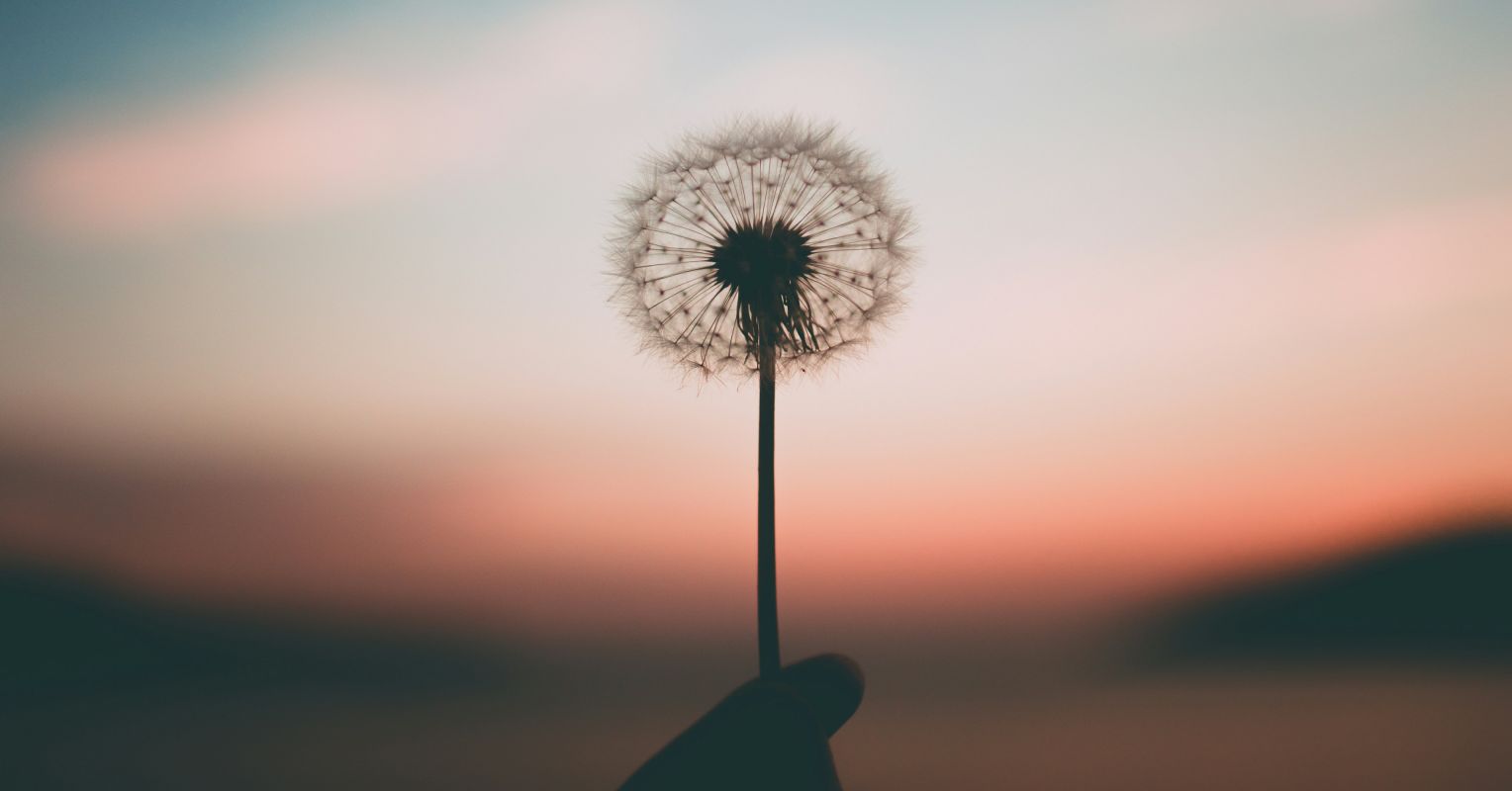 Breaking Bad: Understanding Problematic Pornography Use