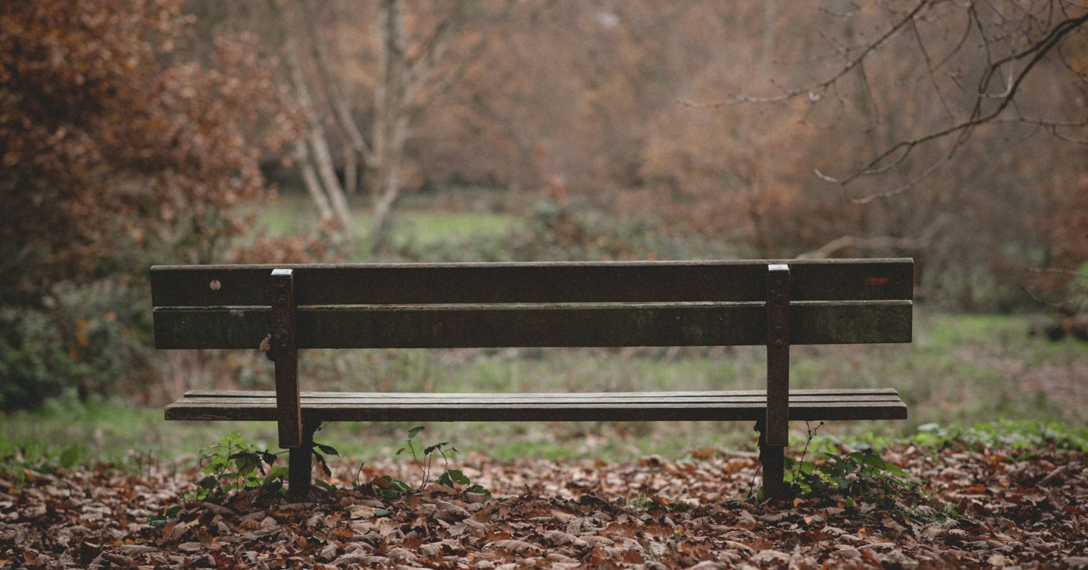 Narcissistic Boredom vs. Narcissistic Emptiness