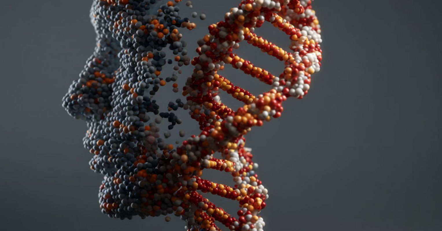 Psychiatric Disorders Have a Genetic Component. Now What?