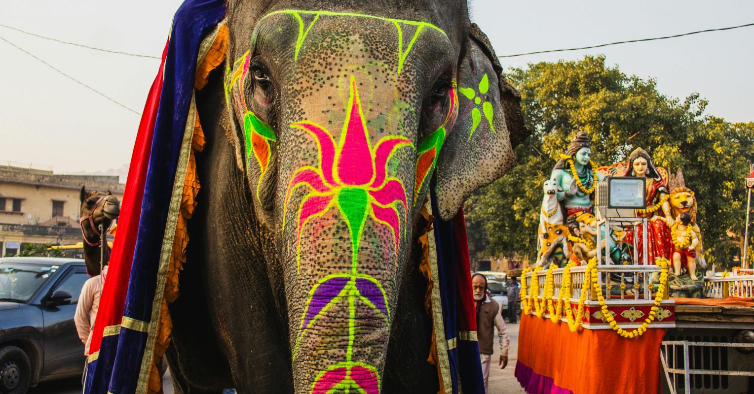 Deep Insights Into Paradoxical Human-Animal Relationships Deep Insights Into Paradoxical Human-Animal Relationships