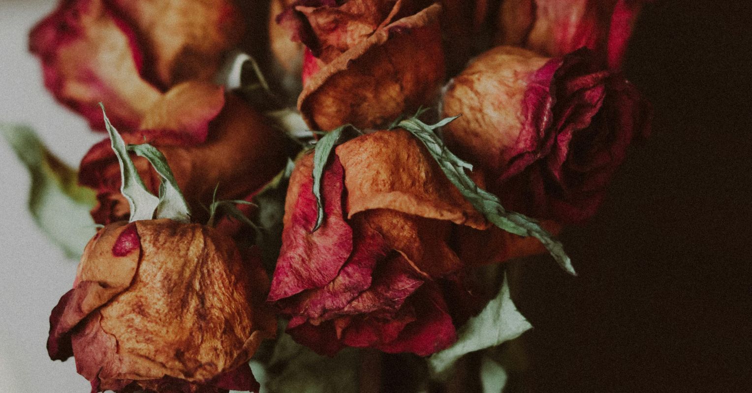 Midlife Love and the Problem No One Wants to Name