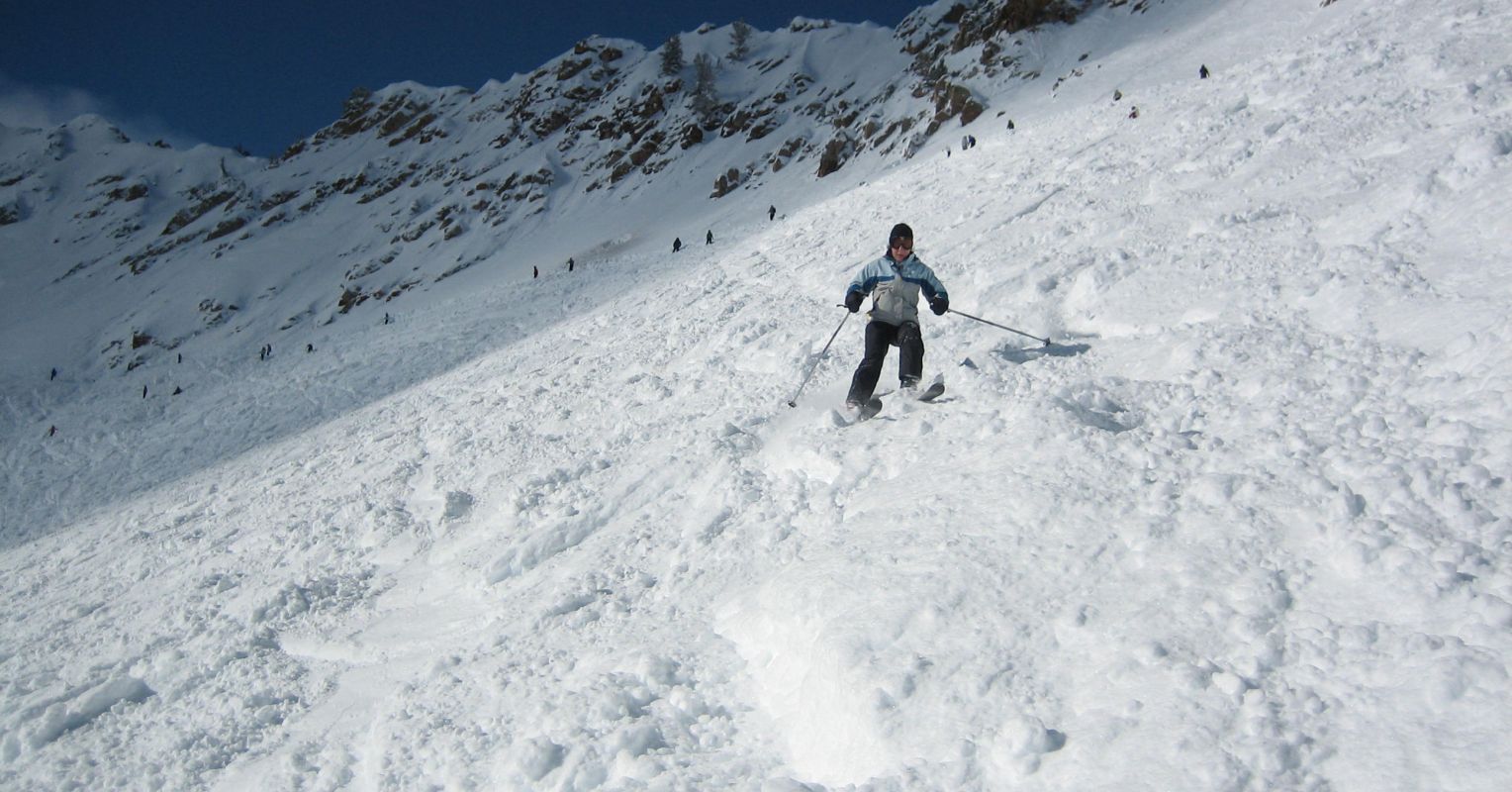 Why We’re Not Polar Bears