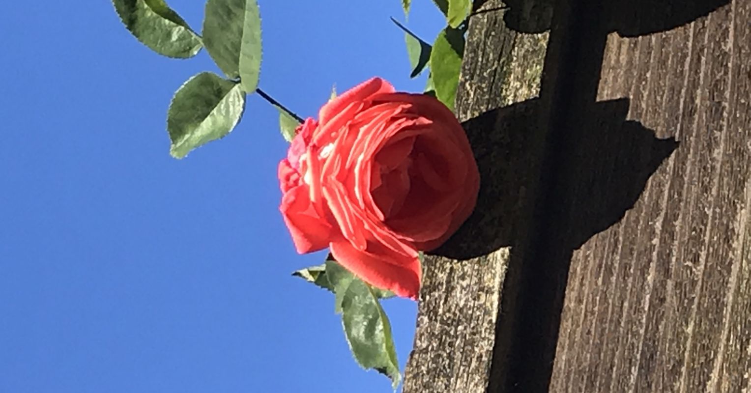 Challenging Perfectionism by Practicing Self-Compassion