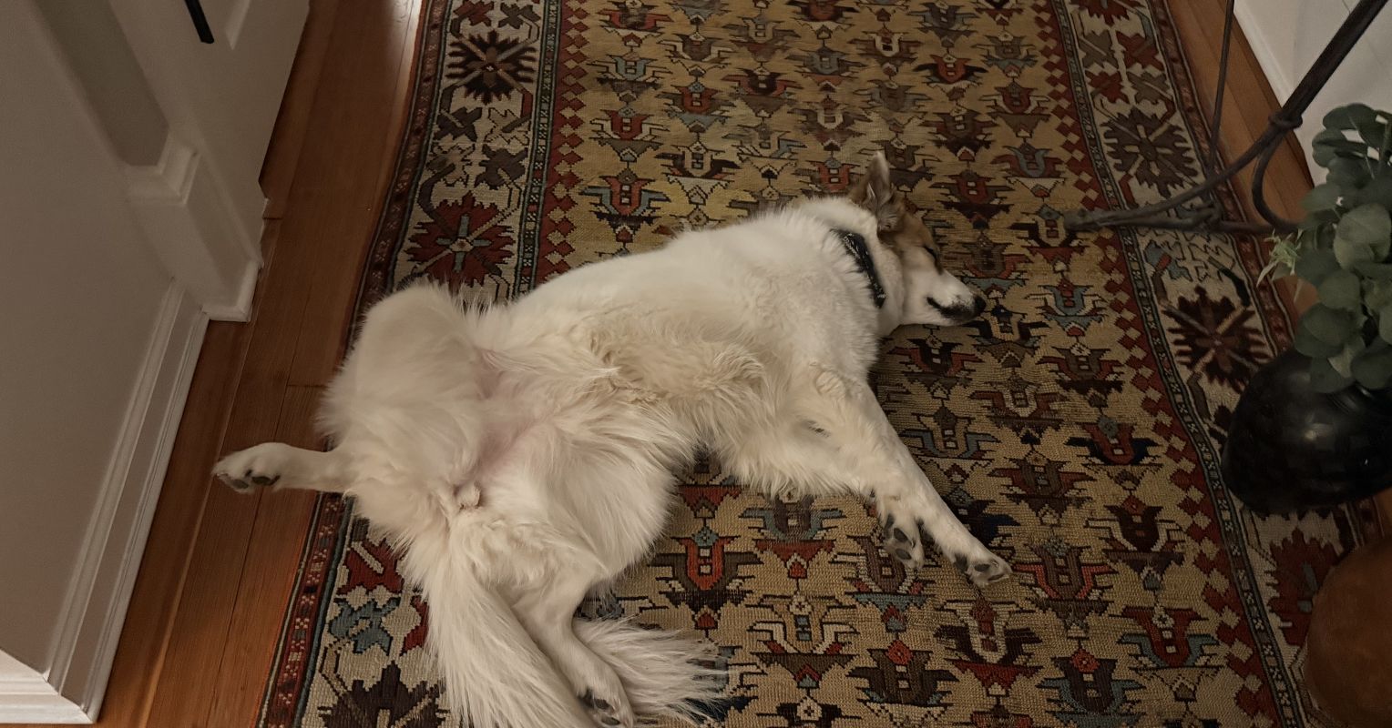 Learning to Reveal Our Unlovable Parts