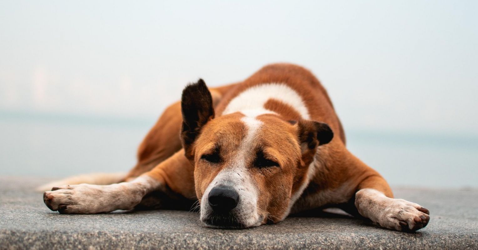 3 Keys to Getting Stuff Done