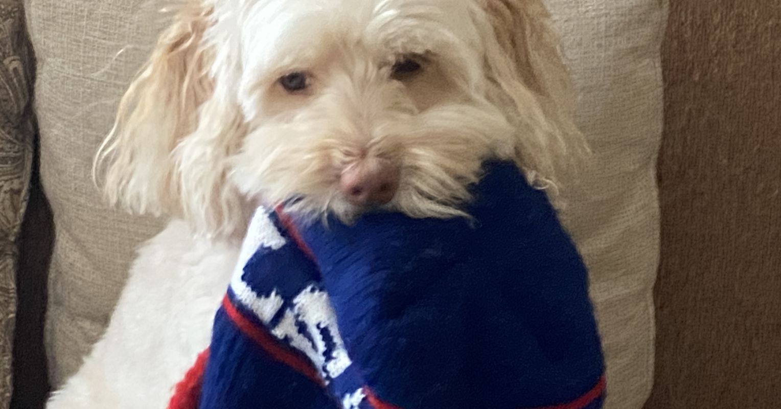 Can Firing a Coach Turn a Team Around?