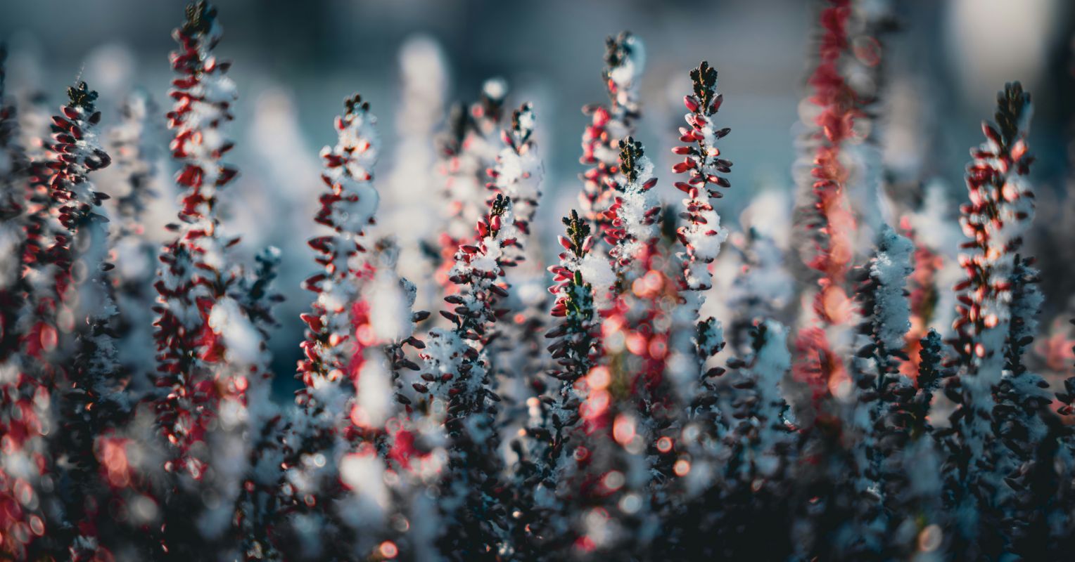 5 Invitations for a Kinder Start to the New Year