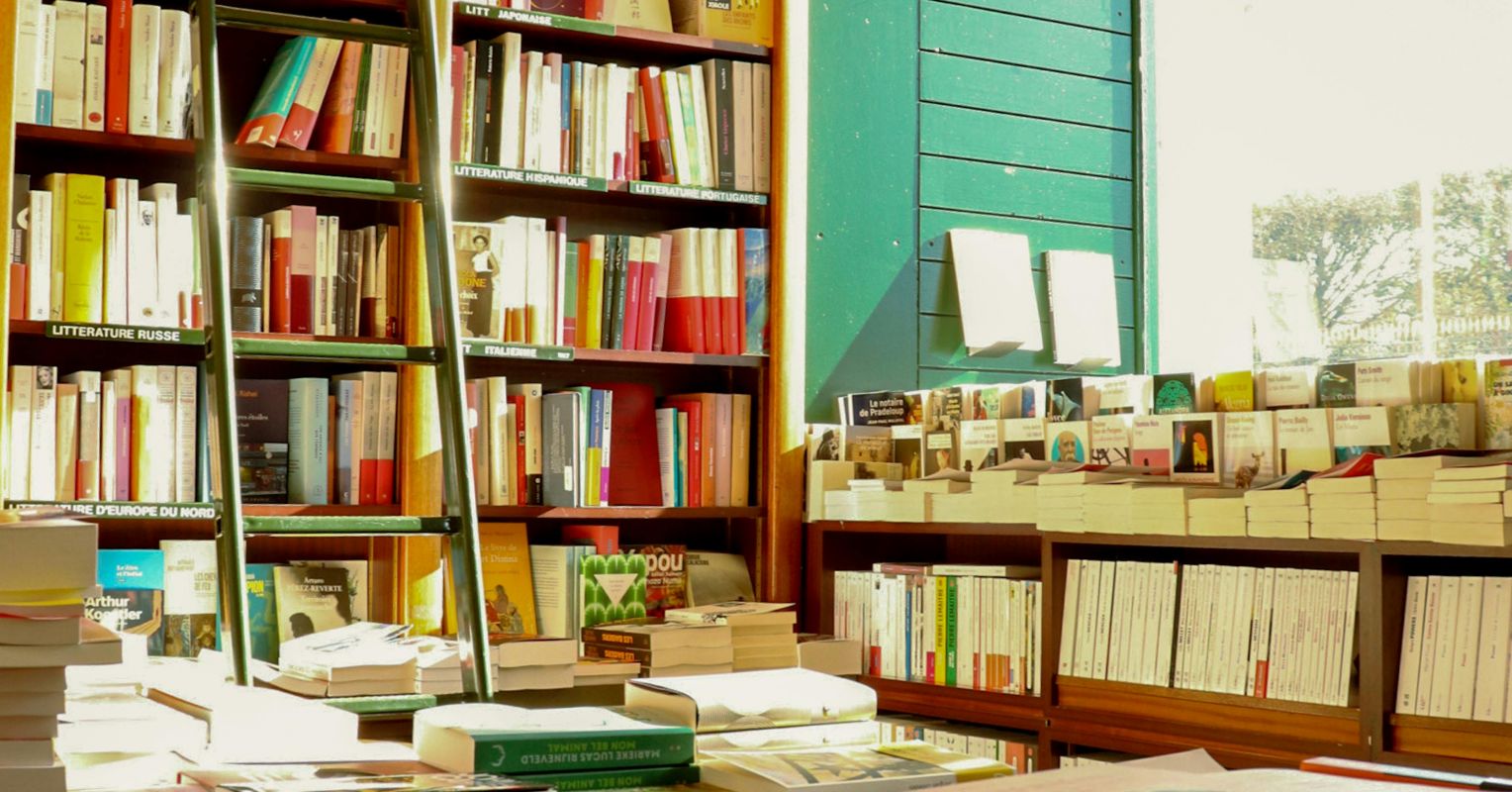 Surprises I Encountered on the Way to Publishing My Books