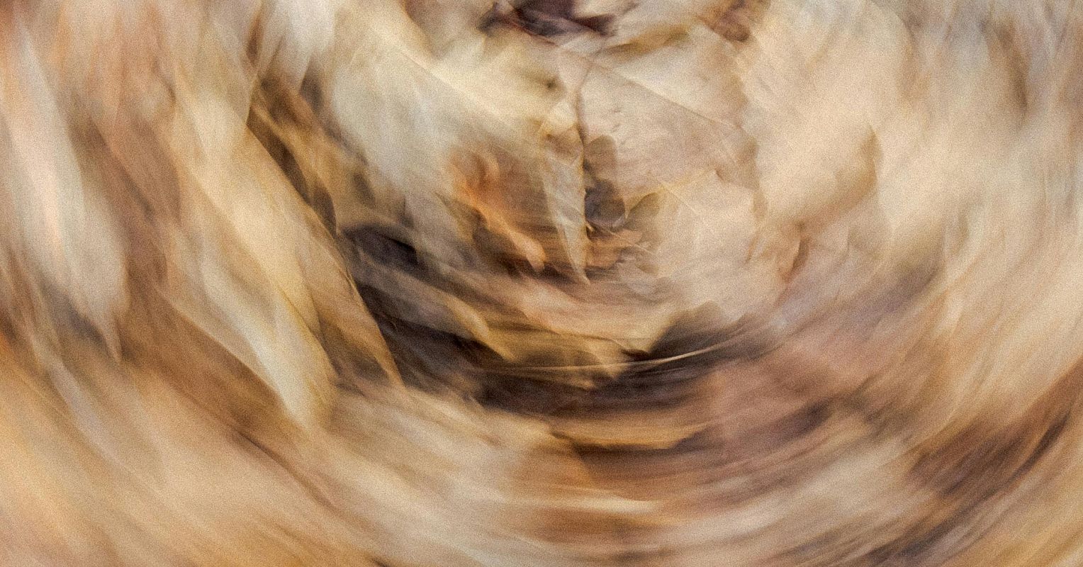 When Dissociation Goes From Protective to Problematic