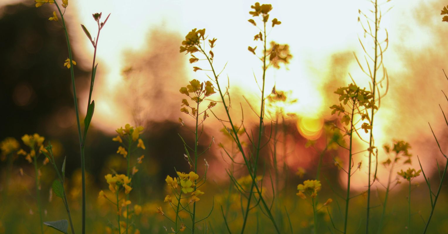 We Are Never Alone in Our Grief