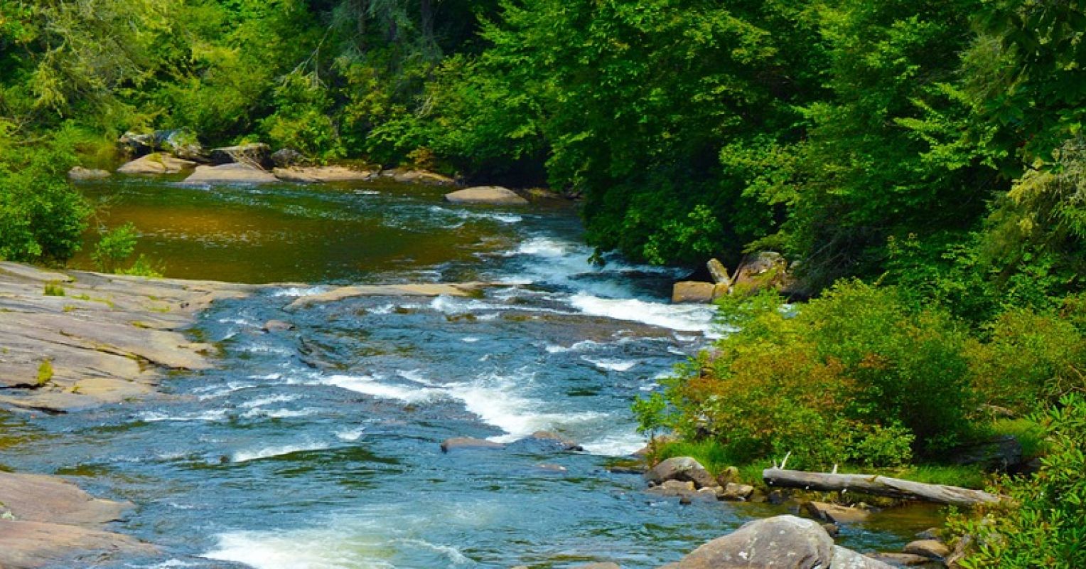 The Best Nature-Based Activities for Good Mental Health