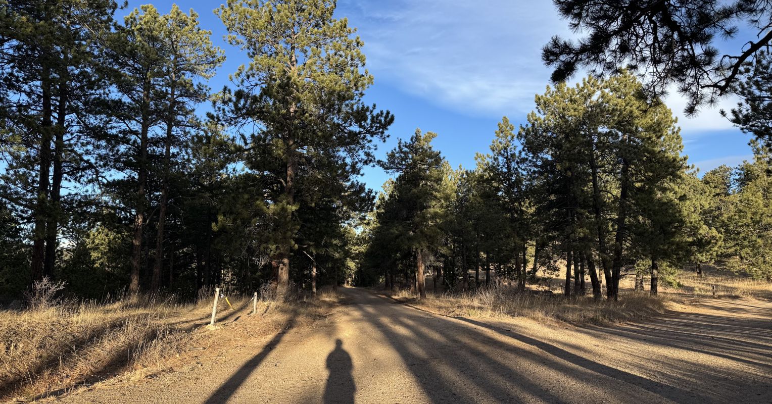 How Diversity Informs the Conversation How Diversity Informs the Conversation