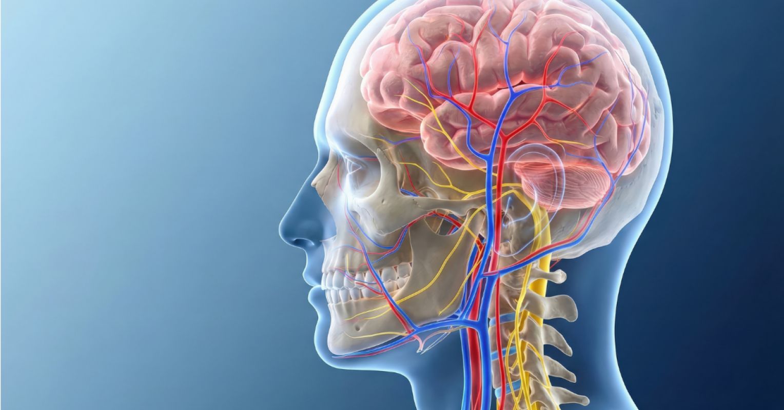Misdiagnosed, Dismissed, and Running Out of Time