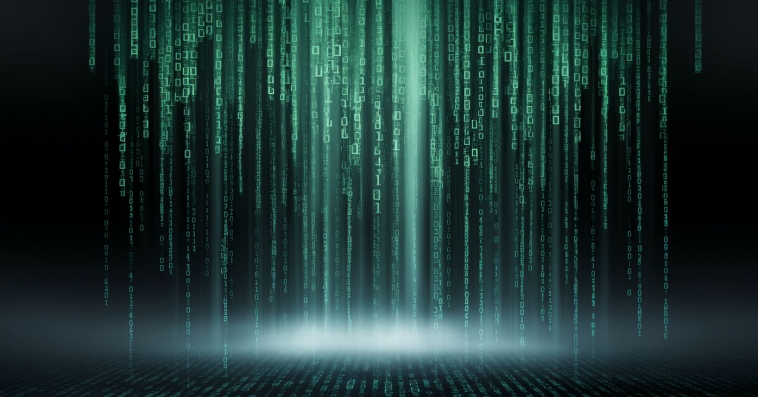 The Destructive Effects of Misinformation on the Human Brain