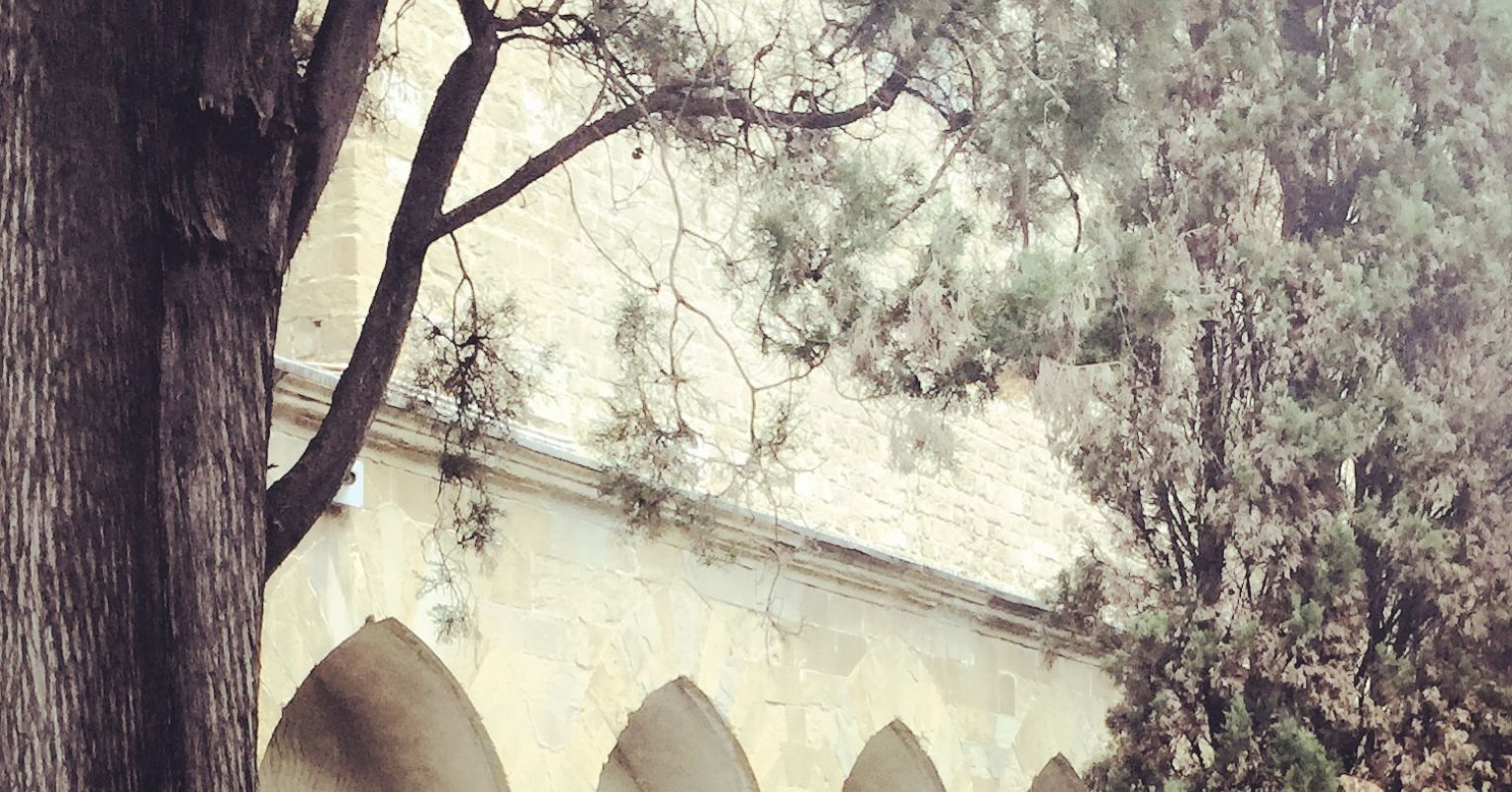 Existential Concerns and Chronic Illness