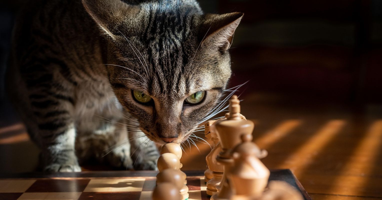 The Chess Game of Life: Why Every Move Matters