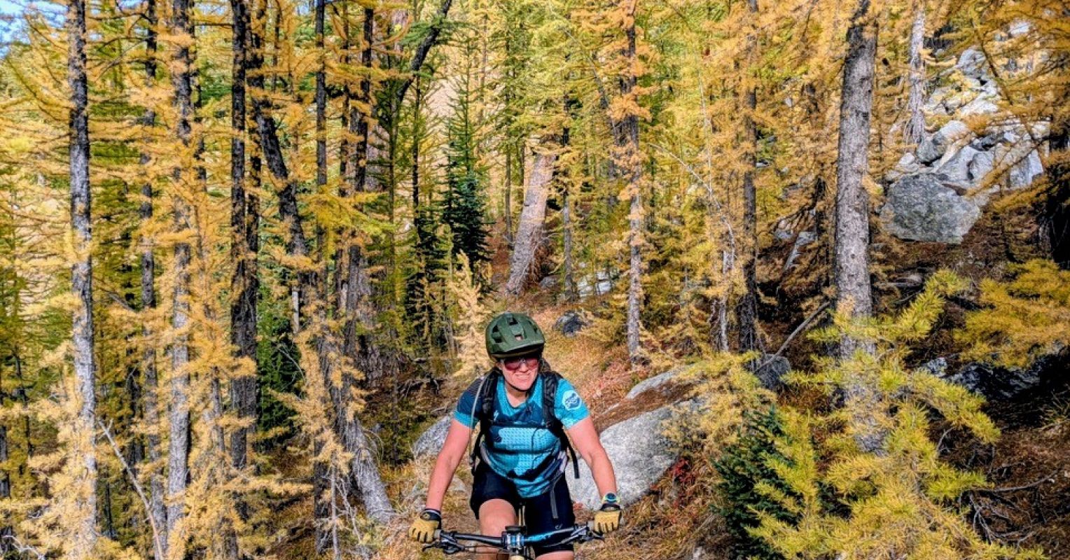 Wild Resilience: Fostering Strength Through Nature