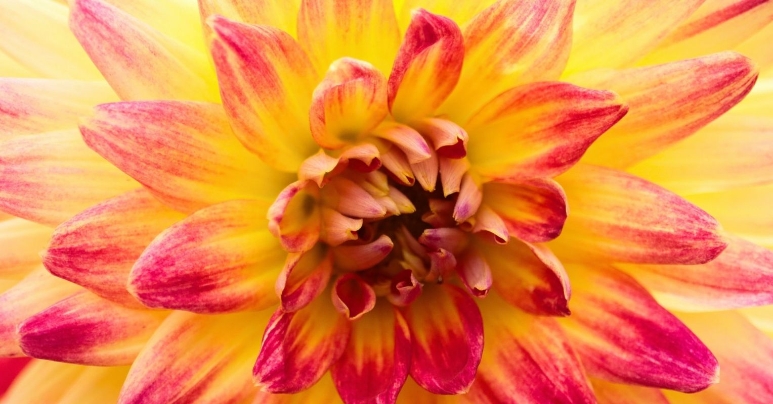 Life Is Hard, Savor Your Joy Anyway