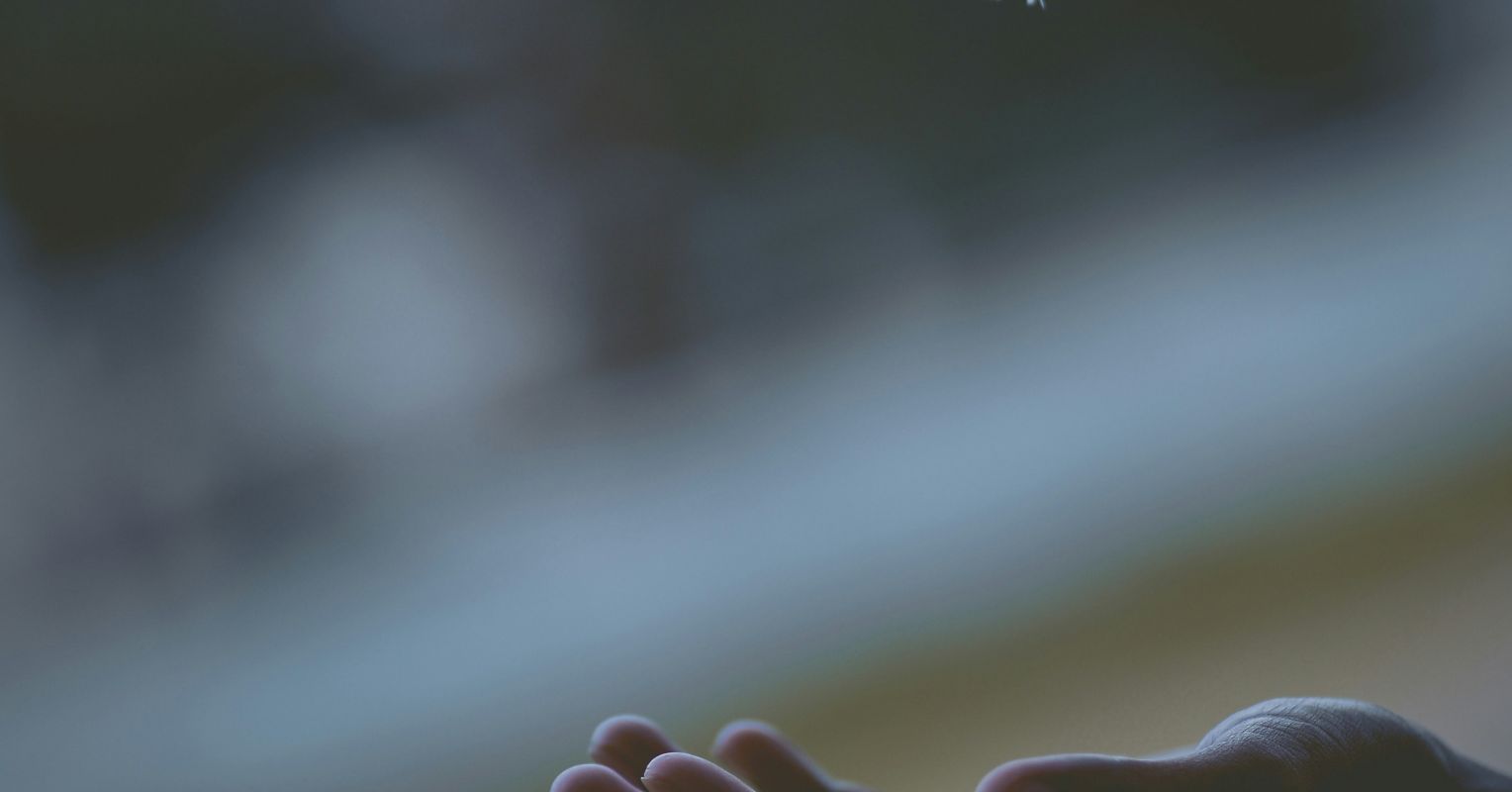 Your Best Company Might Be You